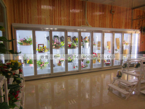 鲜花保鲜冷柜.jpg
