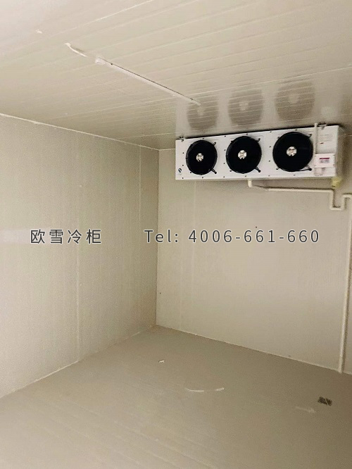 小型鲜花冷库设计与安装.jpg