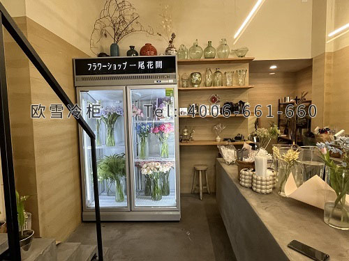 鲜花保鲜冷柜.jpg