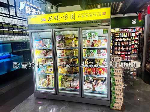 立式低温冷冻展示柜.jpg