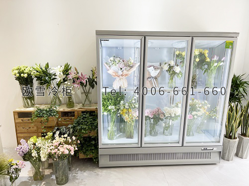 鲜花保鲜冷柜.jpg