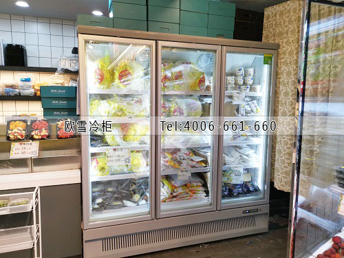 立式低温冷冻展示柜.jpg