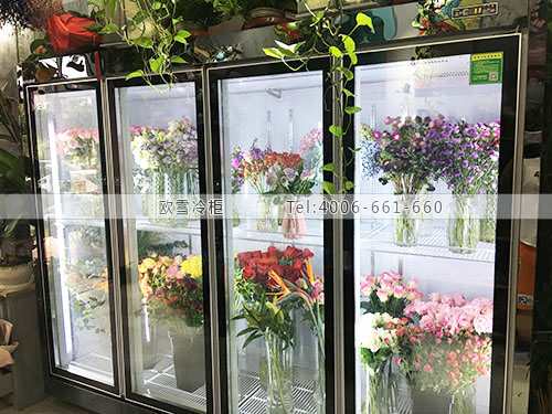 鲜花保鲜柜.jpg