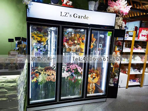鲜花保鲜柜.jpg