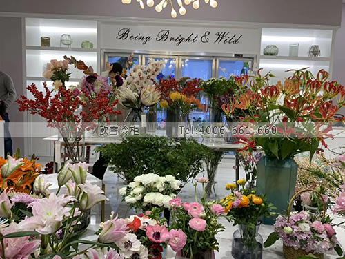 鲜花保鲜冷柜.jpg