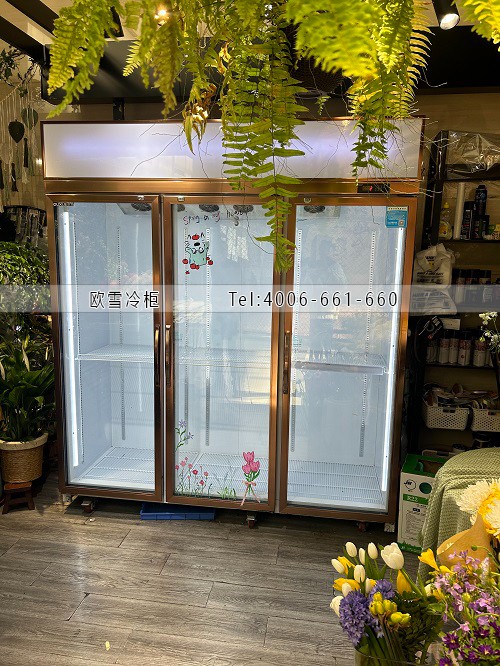 鲜花保鲜柜.jpg