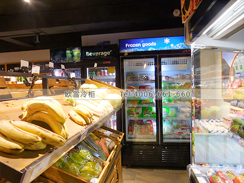 A217福建厦门思明LANSI便利店冷柜-福建厦门便利店展示冰柜