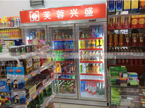 A221湖北武汉芙蓉兴盛便利店冷藏展示冰柜