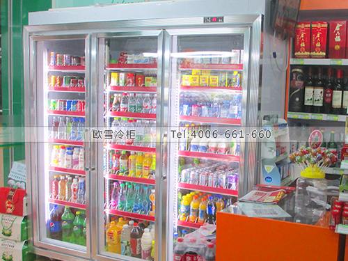 A219广西南宁碧多玛便利店三门冷柜-广西南宁水果风幕柜-广西南宁鲜肉柜