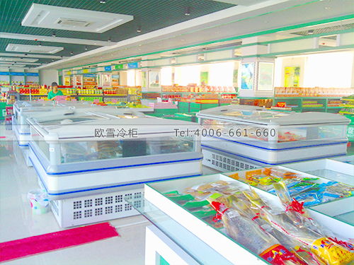 B075广东阳江绿业富莲酒店保鲜冷冻柜