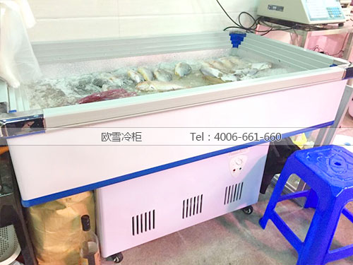D007广州番禺农鲜坊卧式冷冻柜