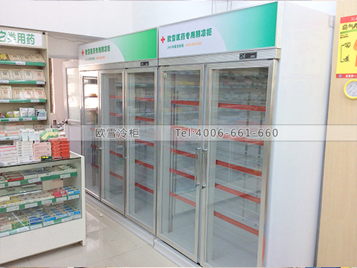 H009湖南郴州上林大药房药品专用阴凉柜