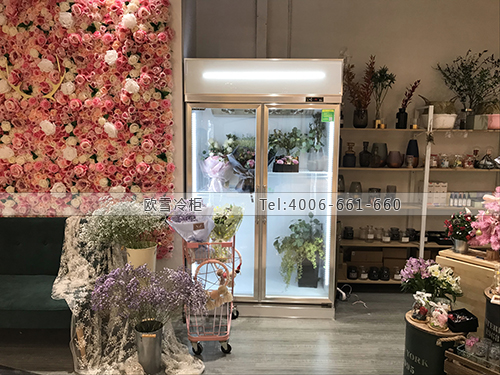 J003上海市闵行区BLOOM SOUL花索鲜花保鲜柜