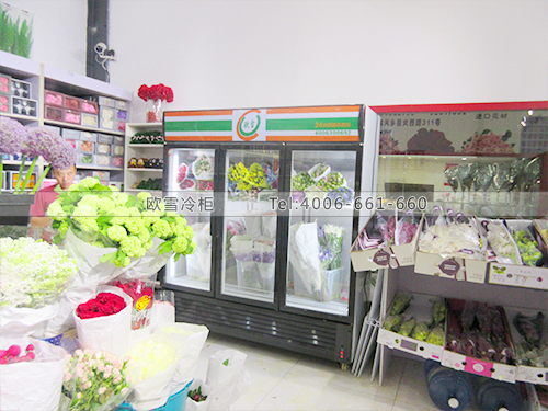 J007北京朝阳千日红鲜花店冷柜
