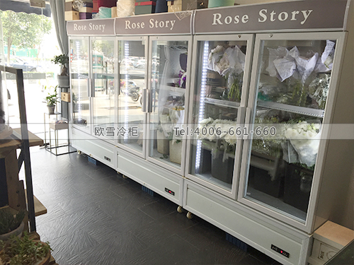 J008江苏盐城ROSE STORY鲜花店冷柜冰柜