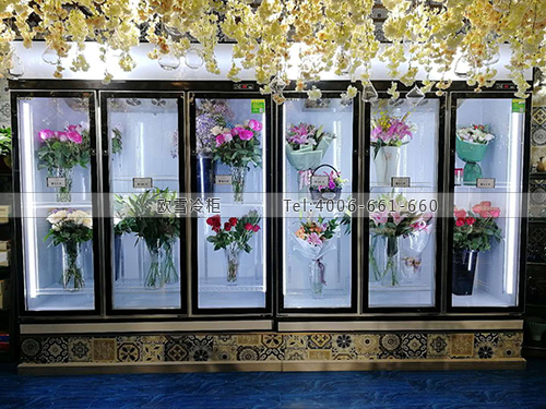 J100河北省石家庄市桥西区那些花儿鲜花店保鲜柜